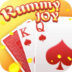 Color Rummy Joy