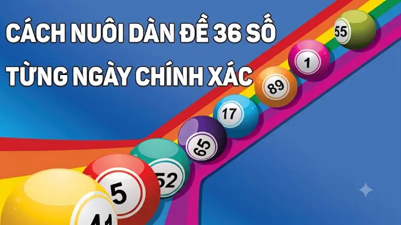 Cách nuôi dàn đề 36 số từng ngày chính xác