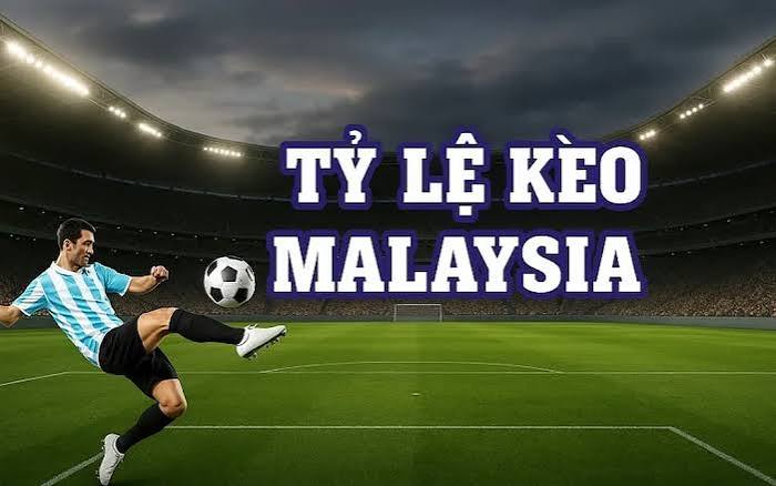 Tỷ lệ kèo Malaysia odd trên bảng cược thể thao Tỷ lệ kèo Malaysia odd trên bảng cược thể thao